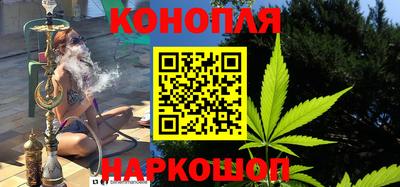 индика Новозыбков