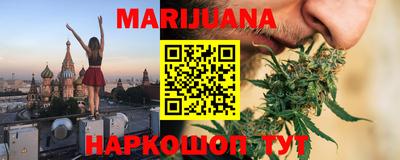 индика Новозыбков