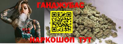 индика Новозыбков