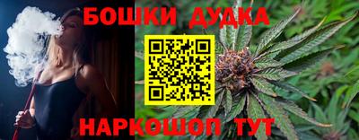 индика Новозыбков