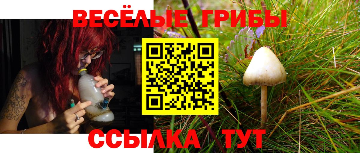 Троицк  где купить   Псилоцибиновые грибы Psilocybine cubensis  Вход с VPN  Псилоцибиновые грибы Psilocybine cubensis 